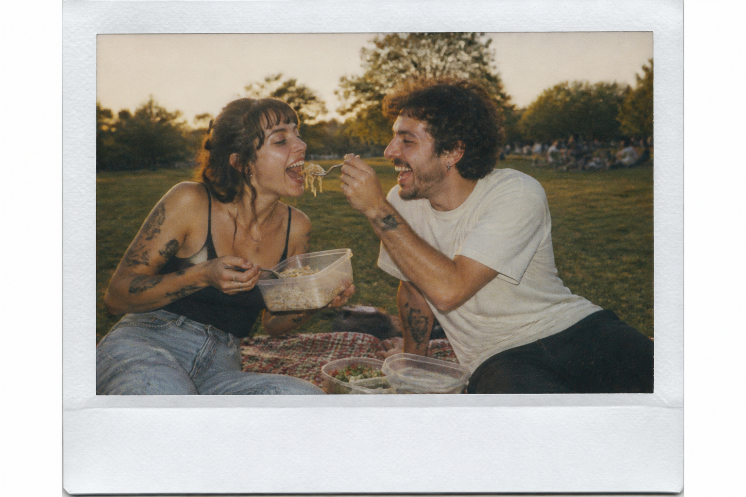 Sample Tonight Note — picnic plan
